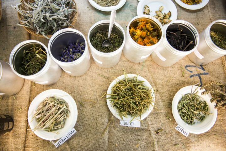 LAURAPARDOeixarcolant2019_12-1024×684