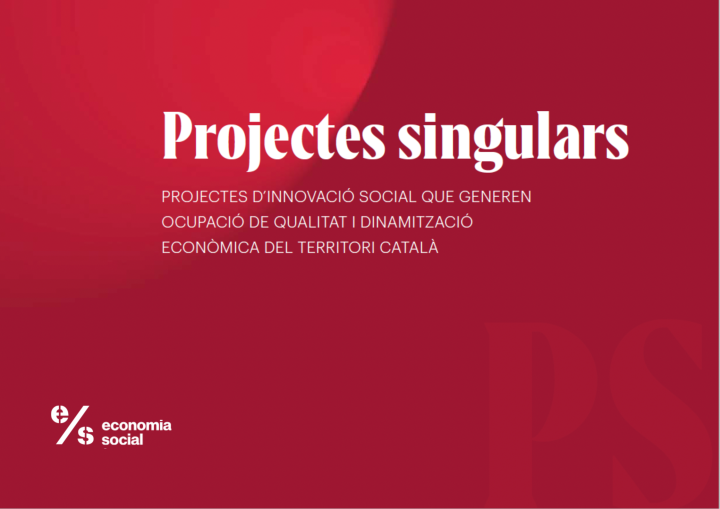 Projectes singulars