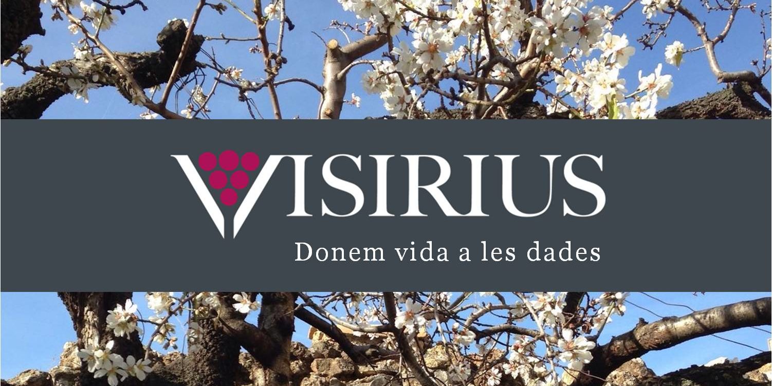 Visirius