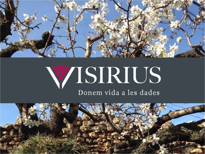 Visirius