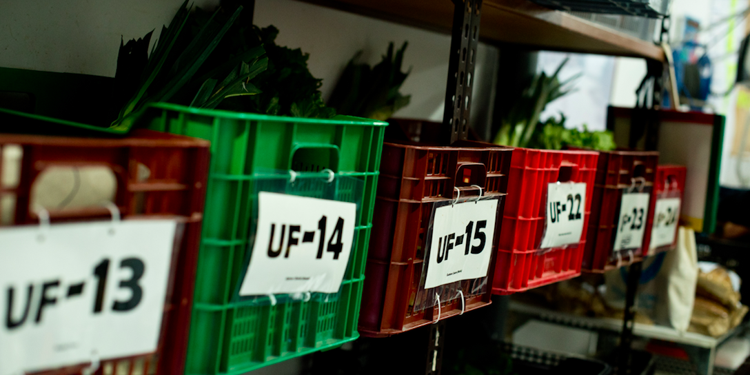 merCAT_ProjecteSingular